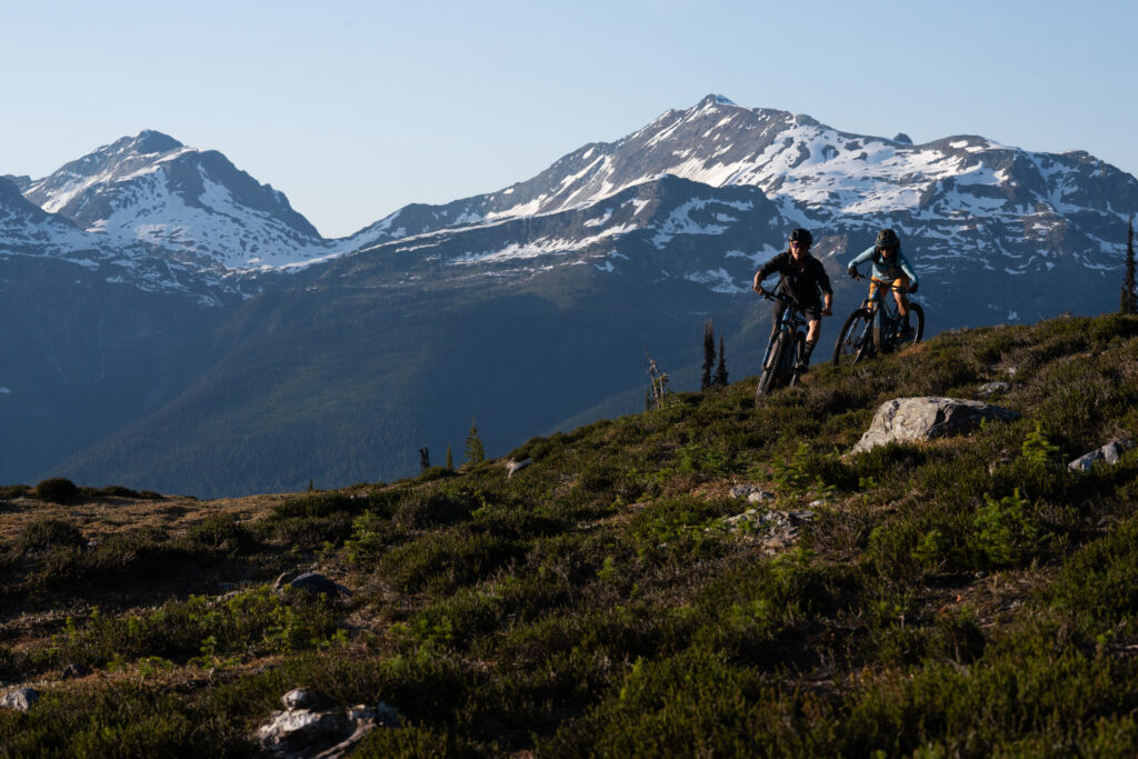 Circle of Silver: Tenacity