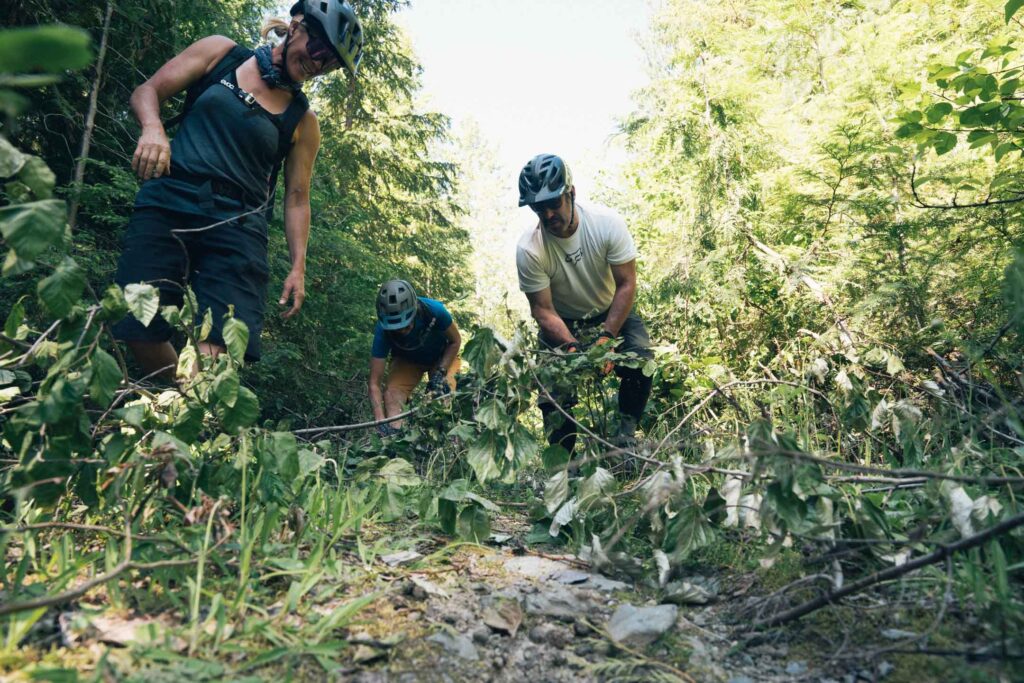Mountain bikers clearing trail