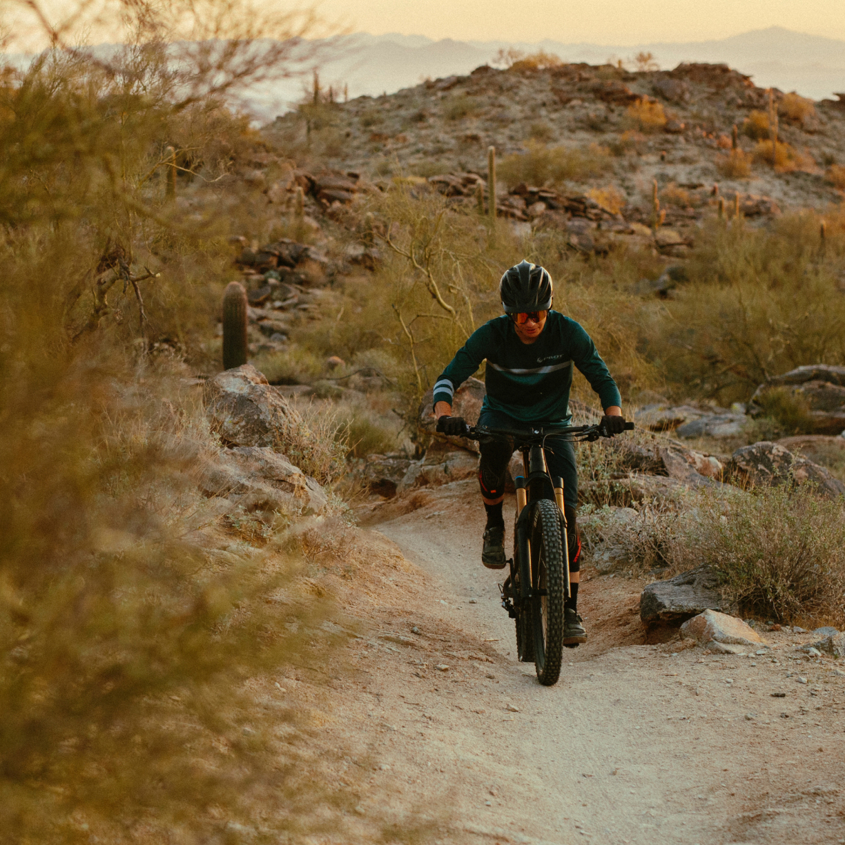 Suggested South Mountain Trails Beginner