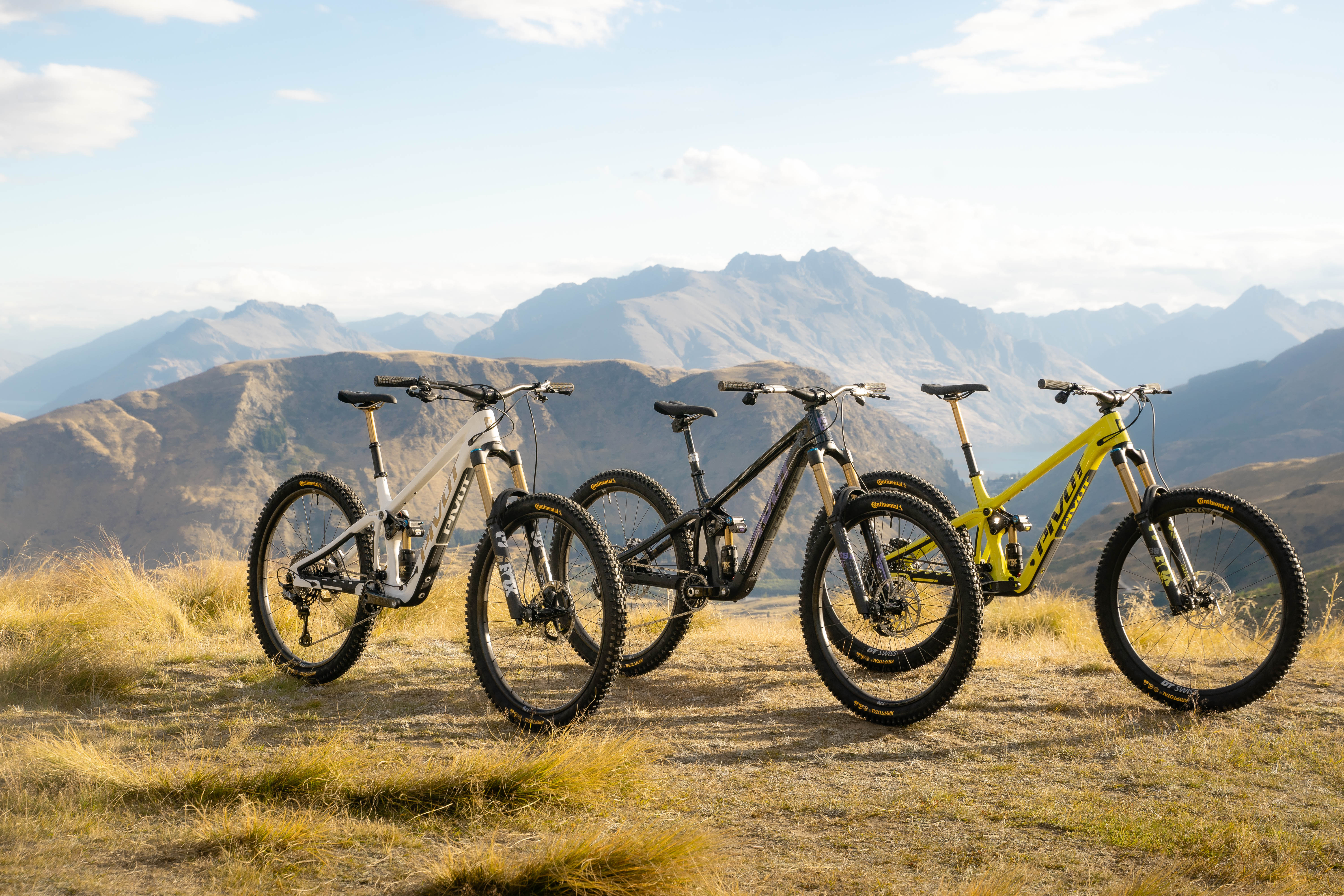 Firebird - Pivot Cycles