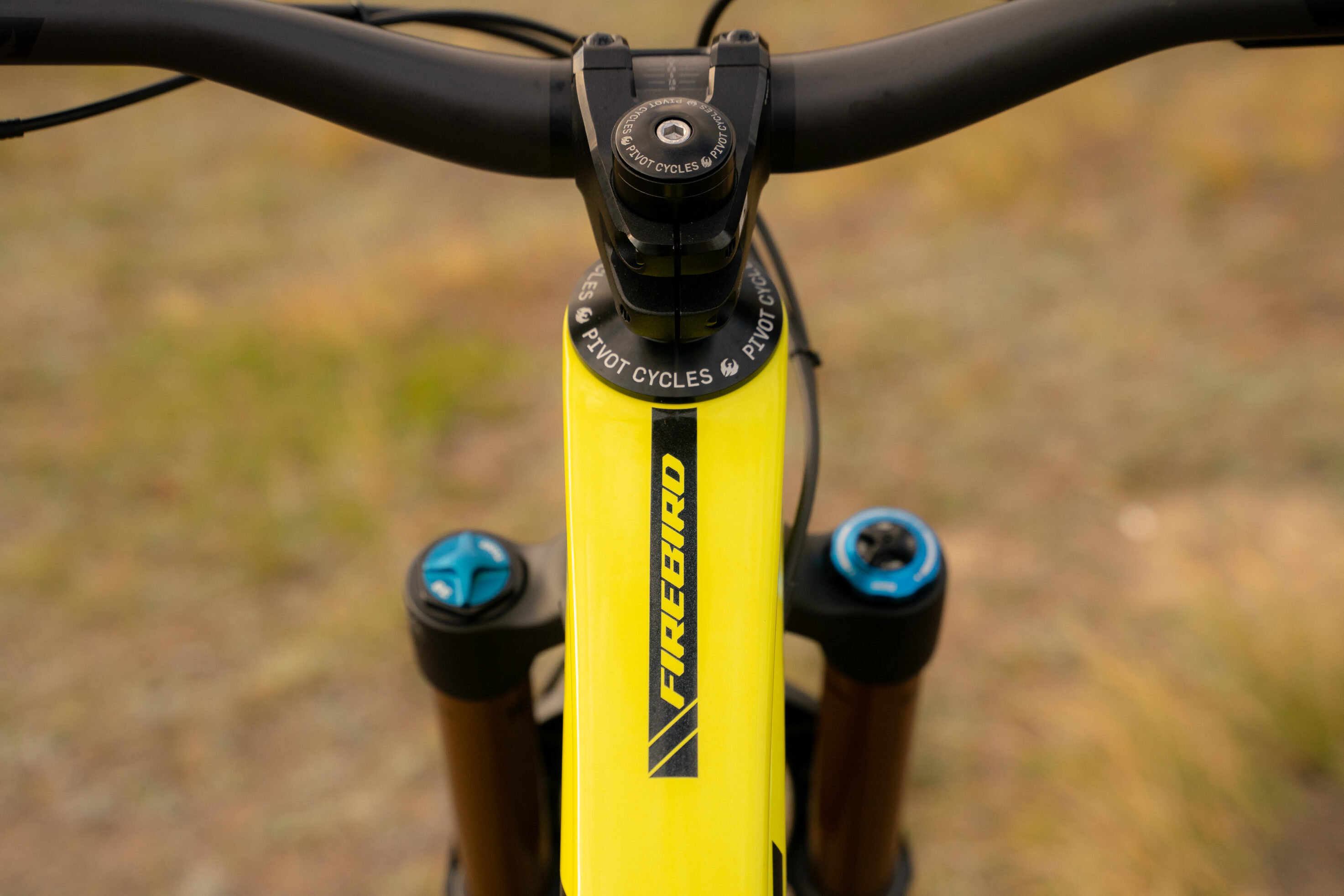 firebird-bitw-pivotcycles-917-