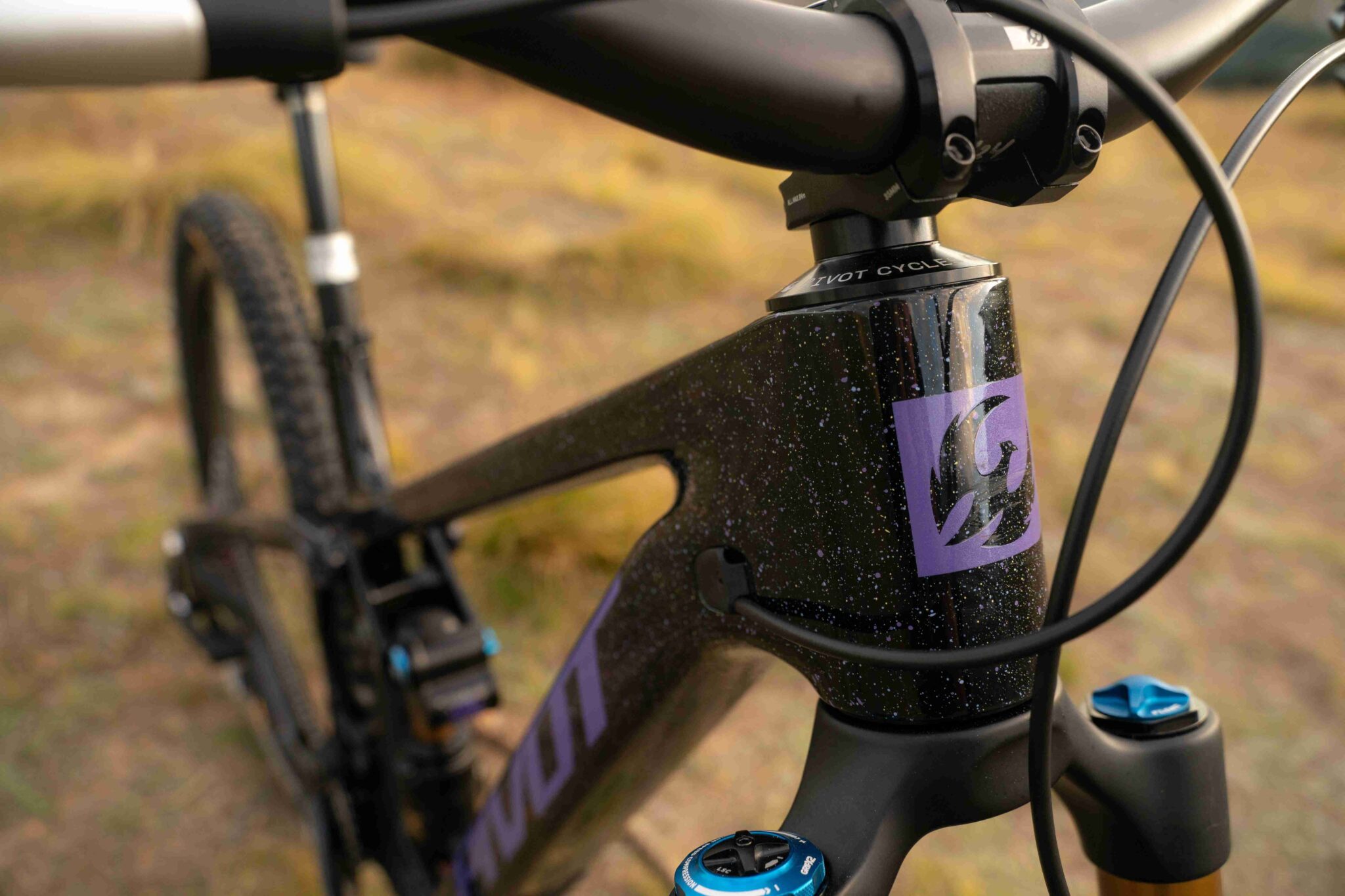 【最新】2025 FW  FIREBIRD ネイビー Firebird Pro XT Di2 | 29