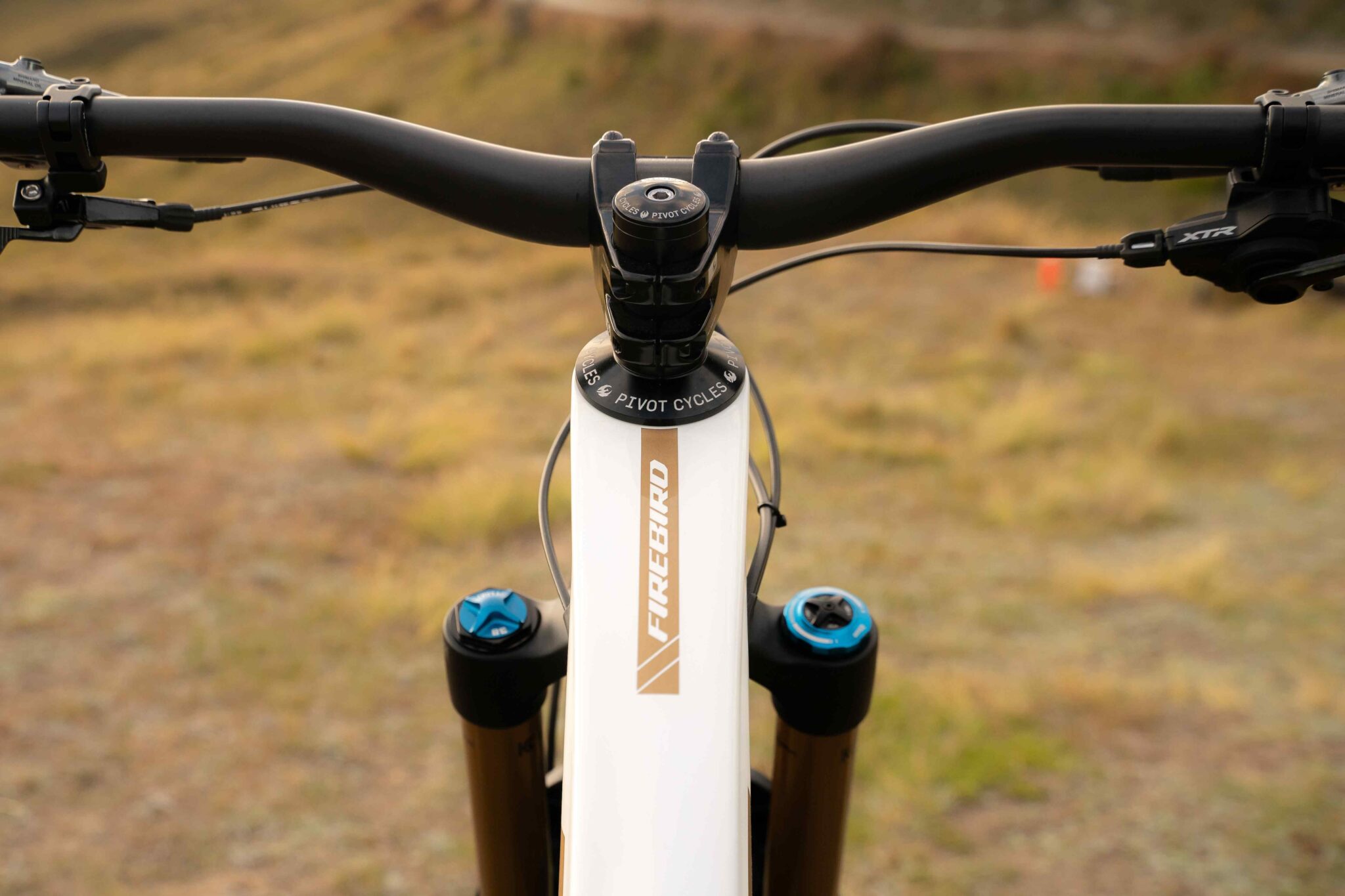 Firebird Pro XT Di2 | 29