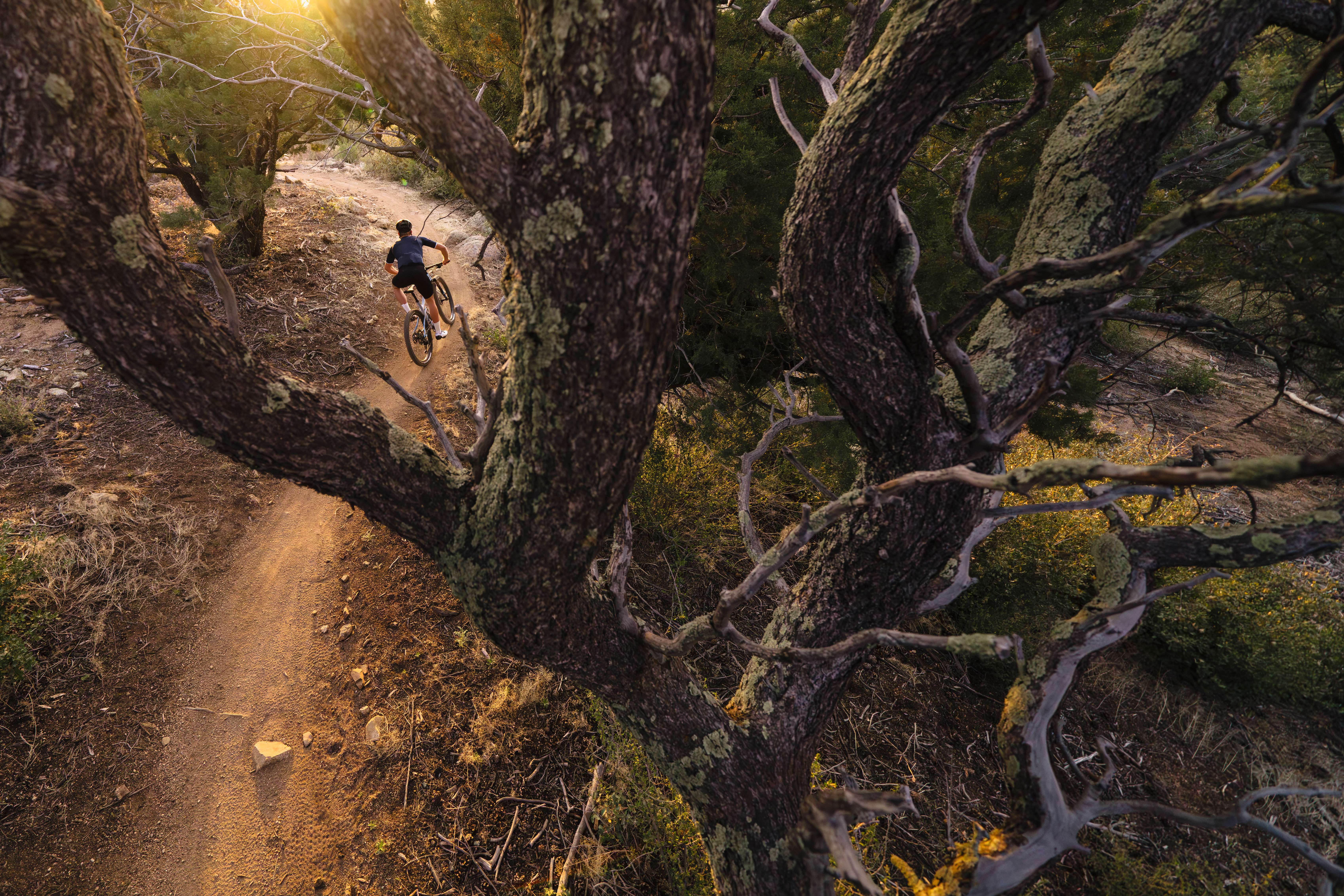 mach 4 sl fly by video