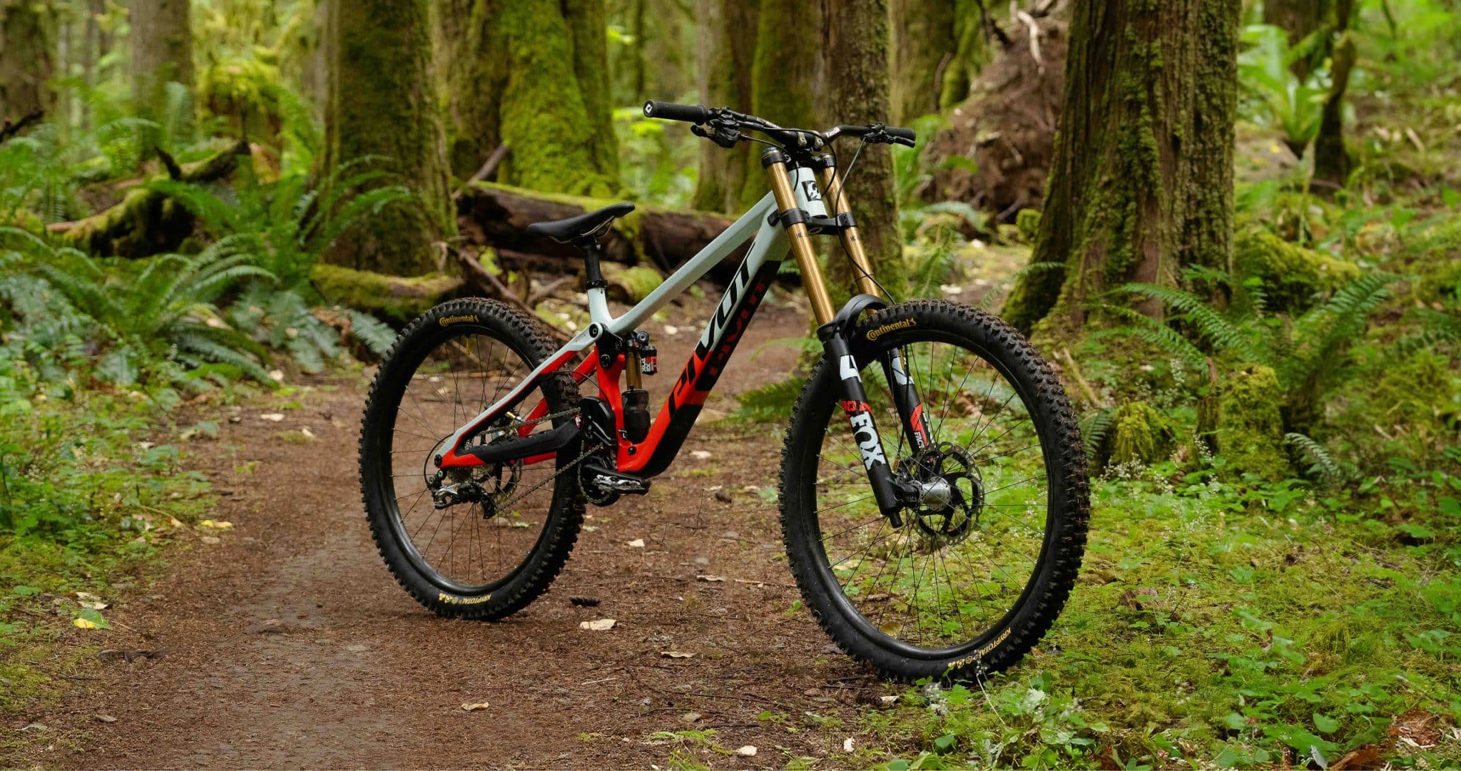 ピポットフェニックスdhフレーム Phoenix - Pivot Cycles