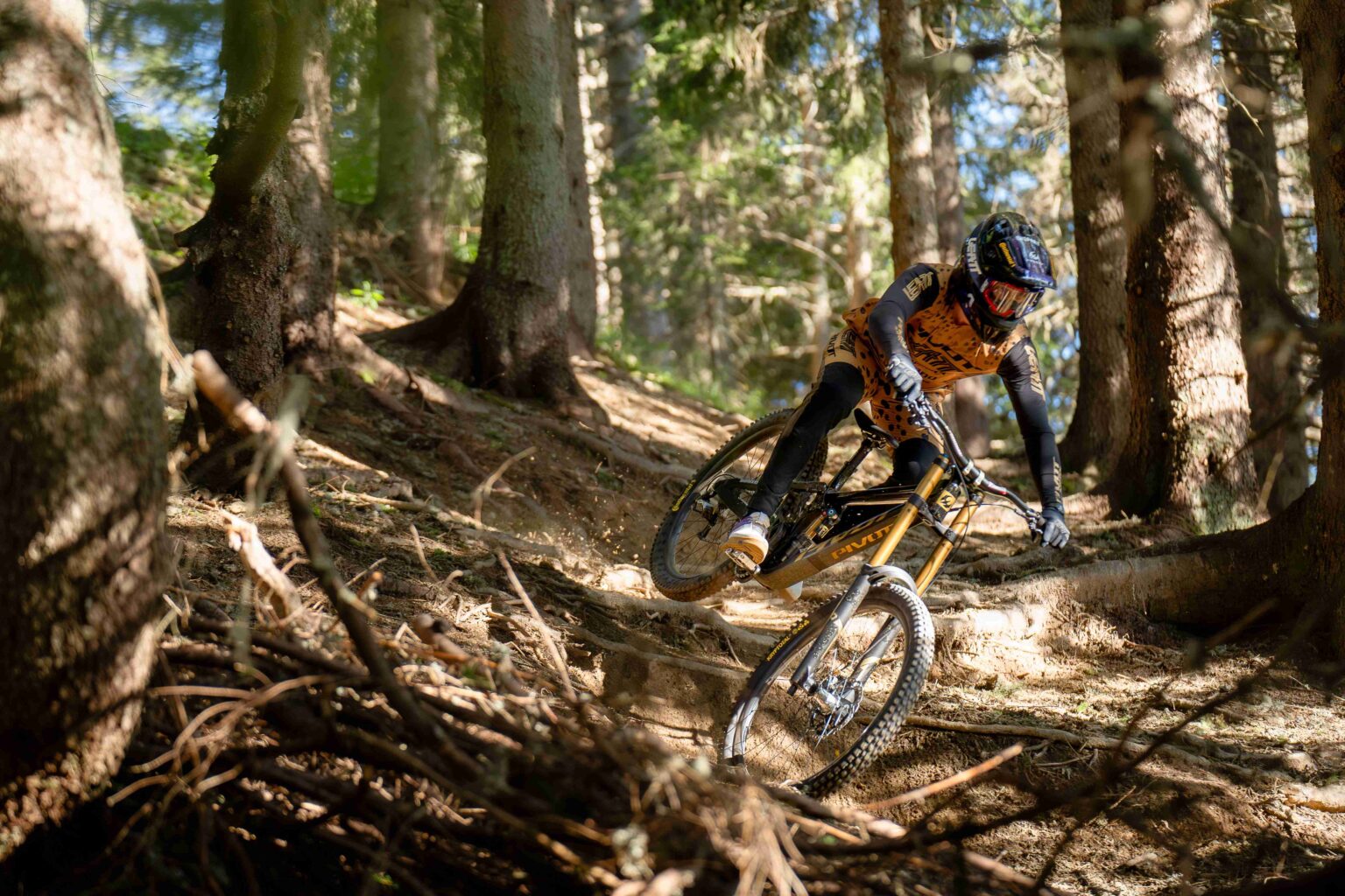 Phoenix - Pivot Cycles