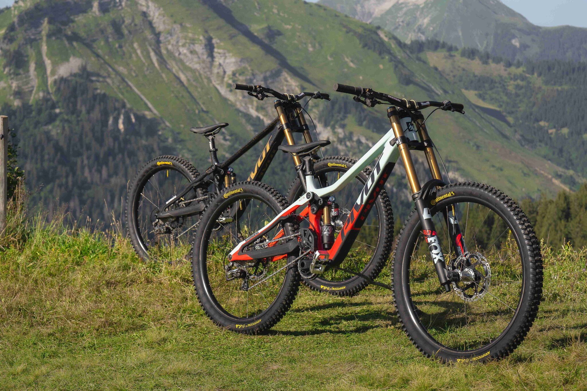 Phoenix - Pivot Cycles
