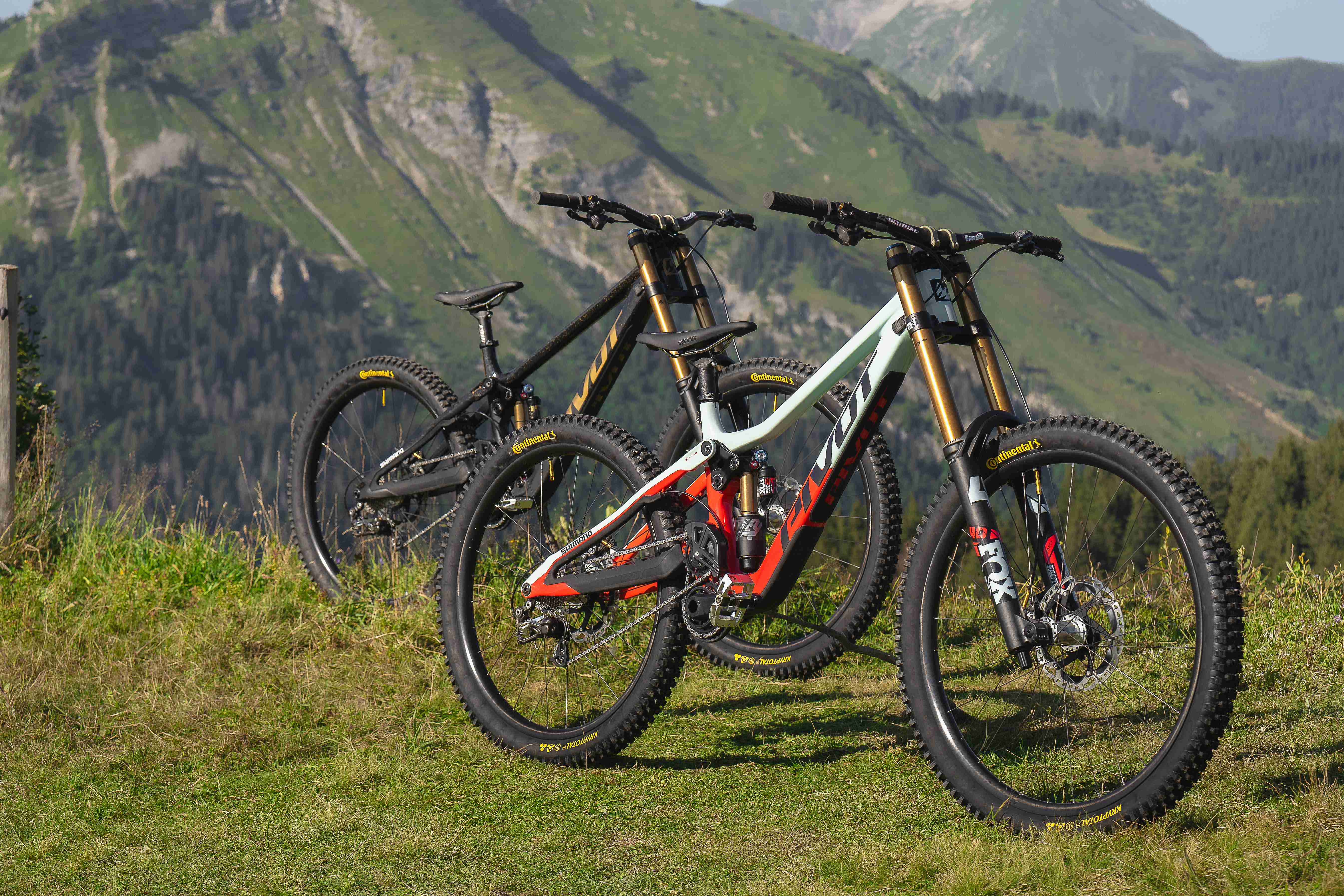 Phoenix - Pivot Cycles