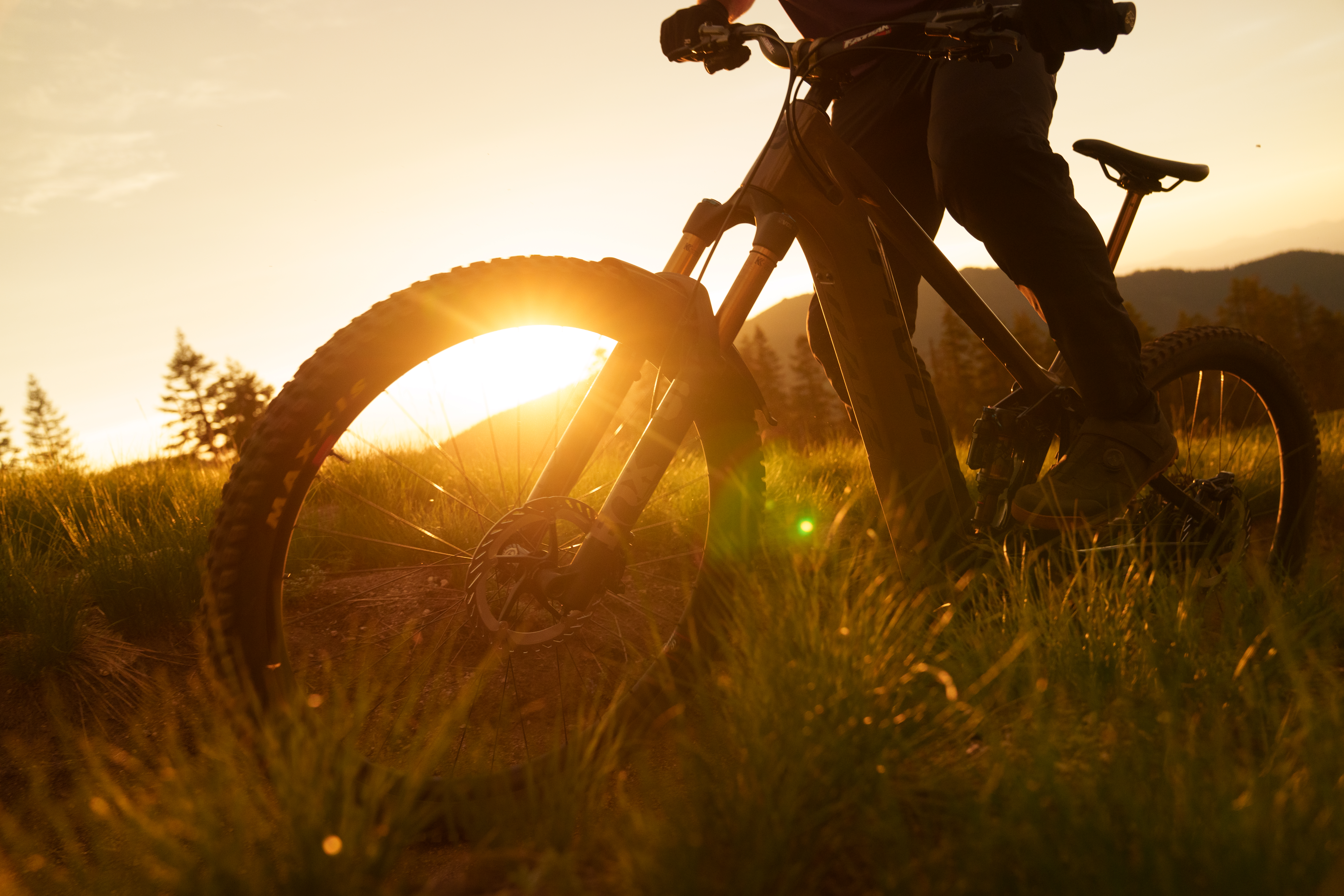 summer laps image background