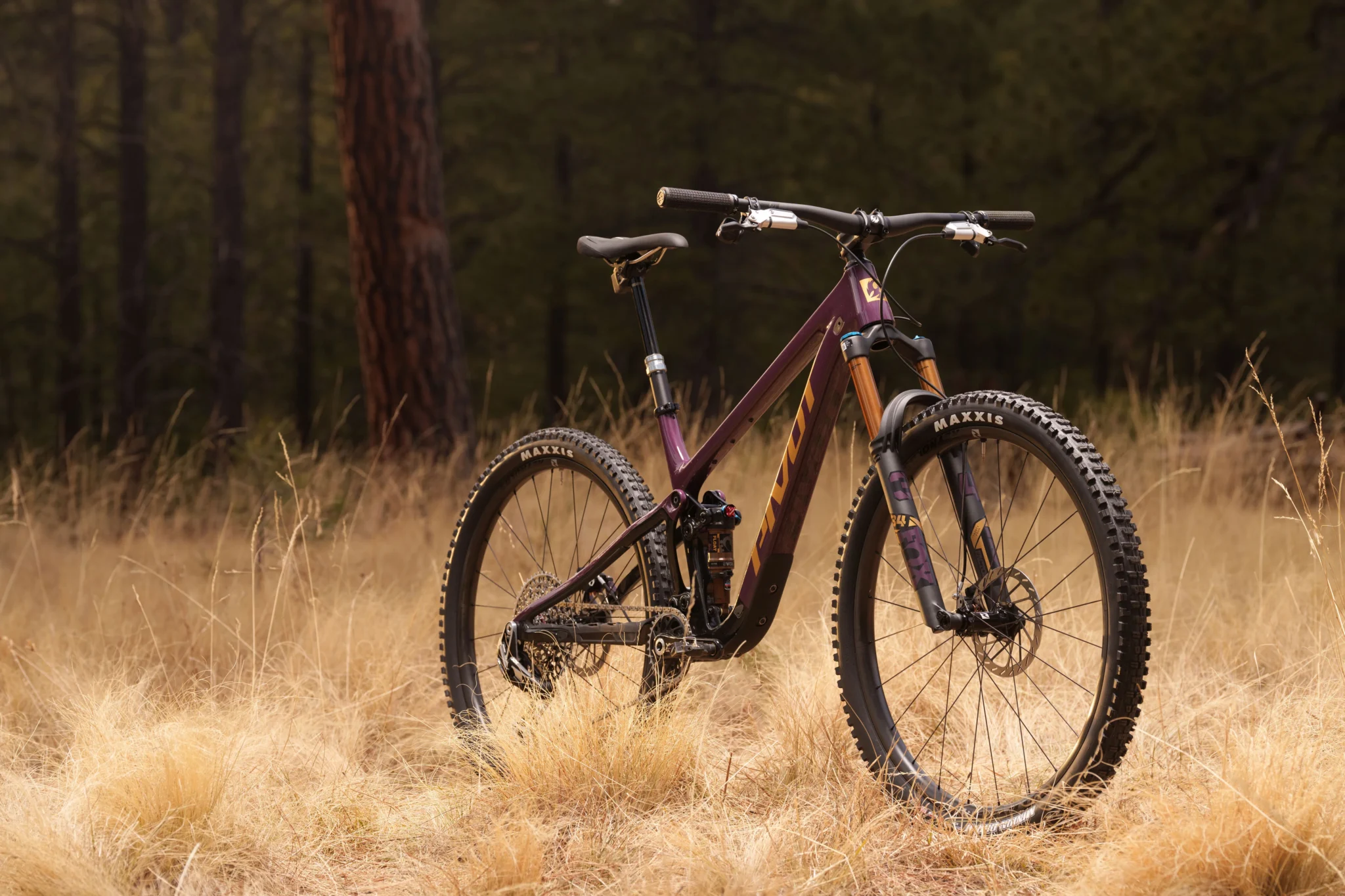 trailcatsl-photo-gallery-