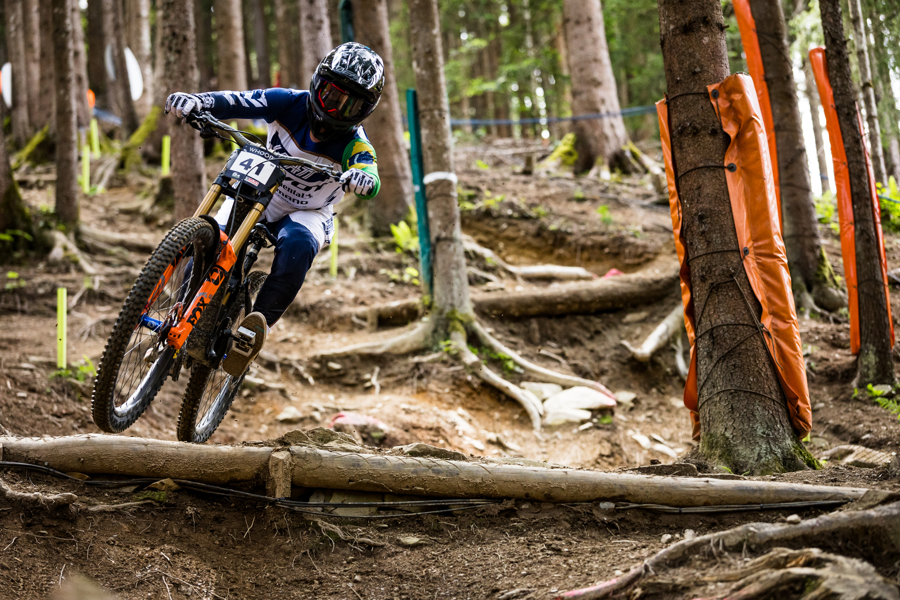 Roger Vieira - Pivot Cycles