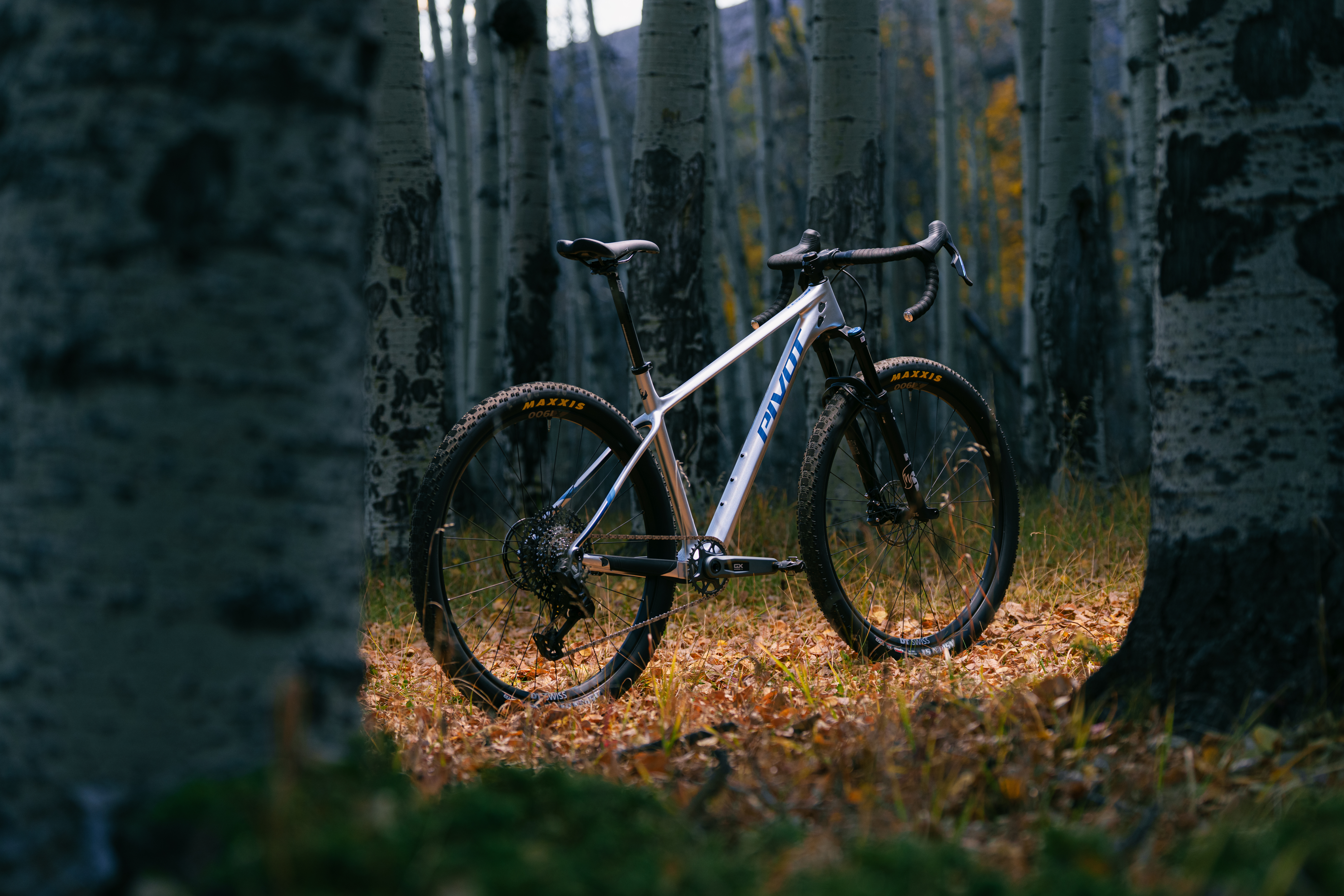 design rennrad Wanddeko Rennradfigur – personalisiertes Geschenk für Radfahrer –  WoodFriends main image 1