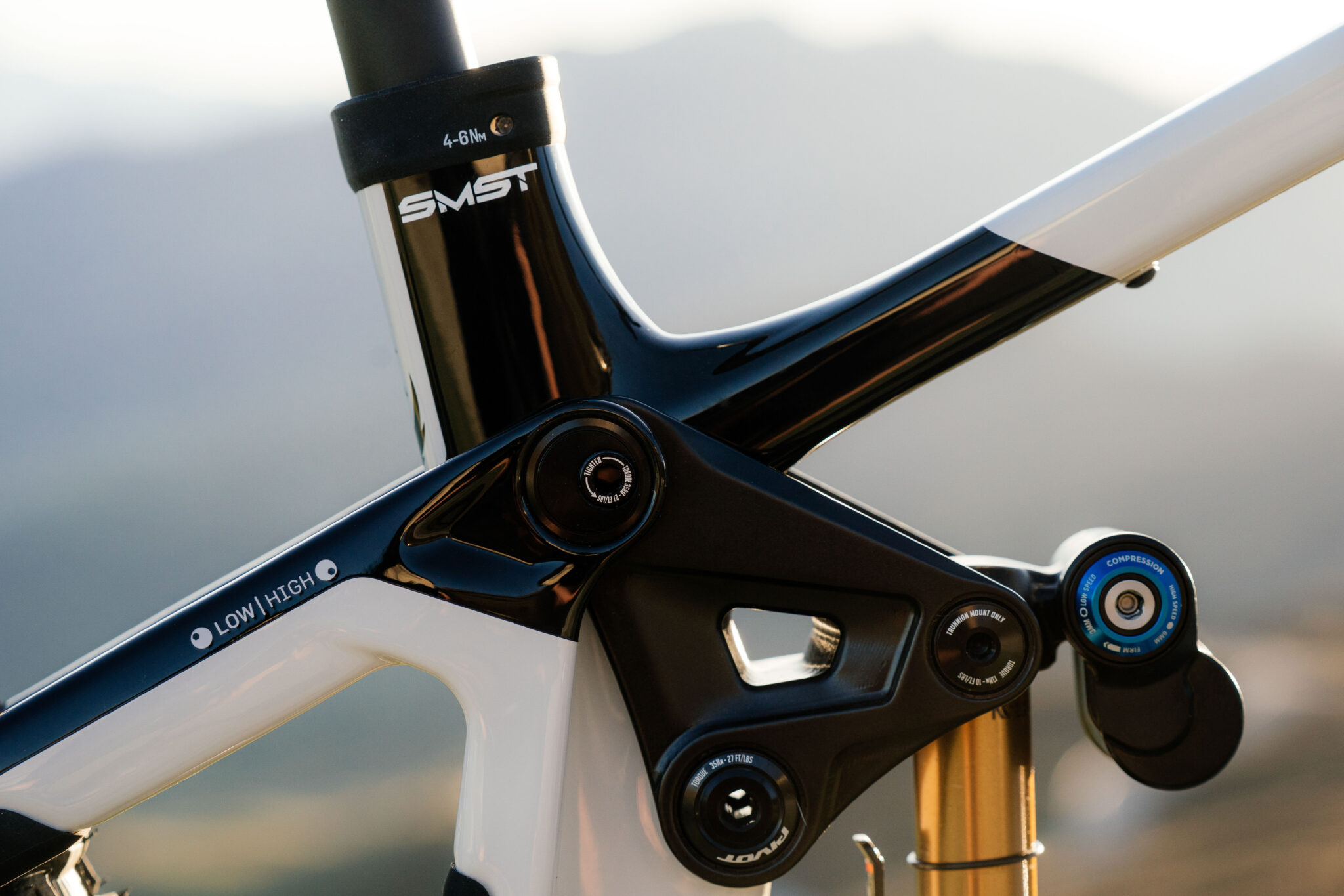 Shuttle LT Team XX Eagle Transmission - Pivot Cycles