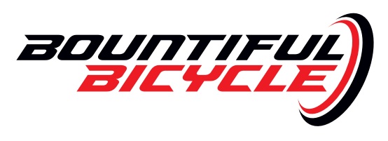 Dealer Logo