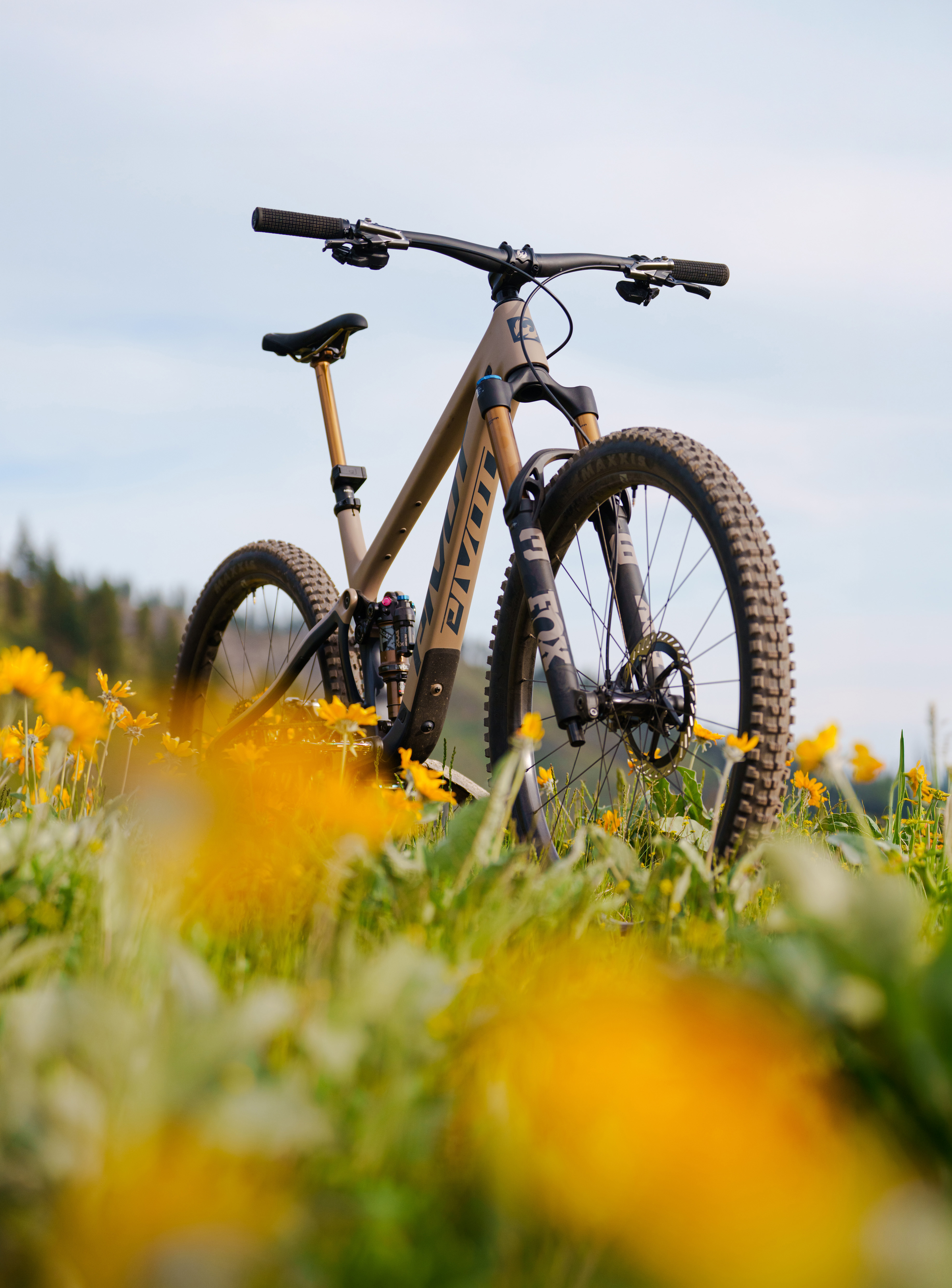 SUMMIT 3/4 JERSEY - Pivot Cycles