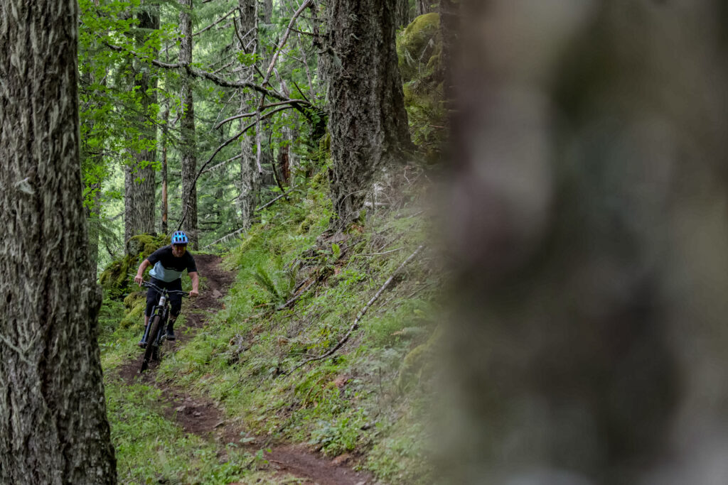 Underexposed: Oakridge-Westfir, OR